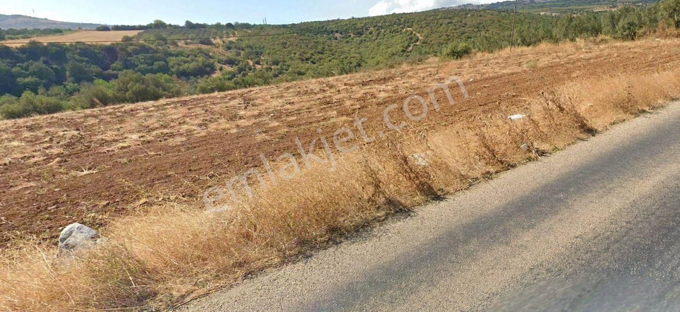 Karacabey Kulakpınar'da 20.000 M2 Satılık Arazi - Görsel 10