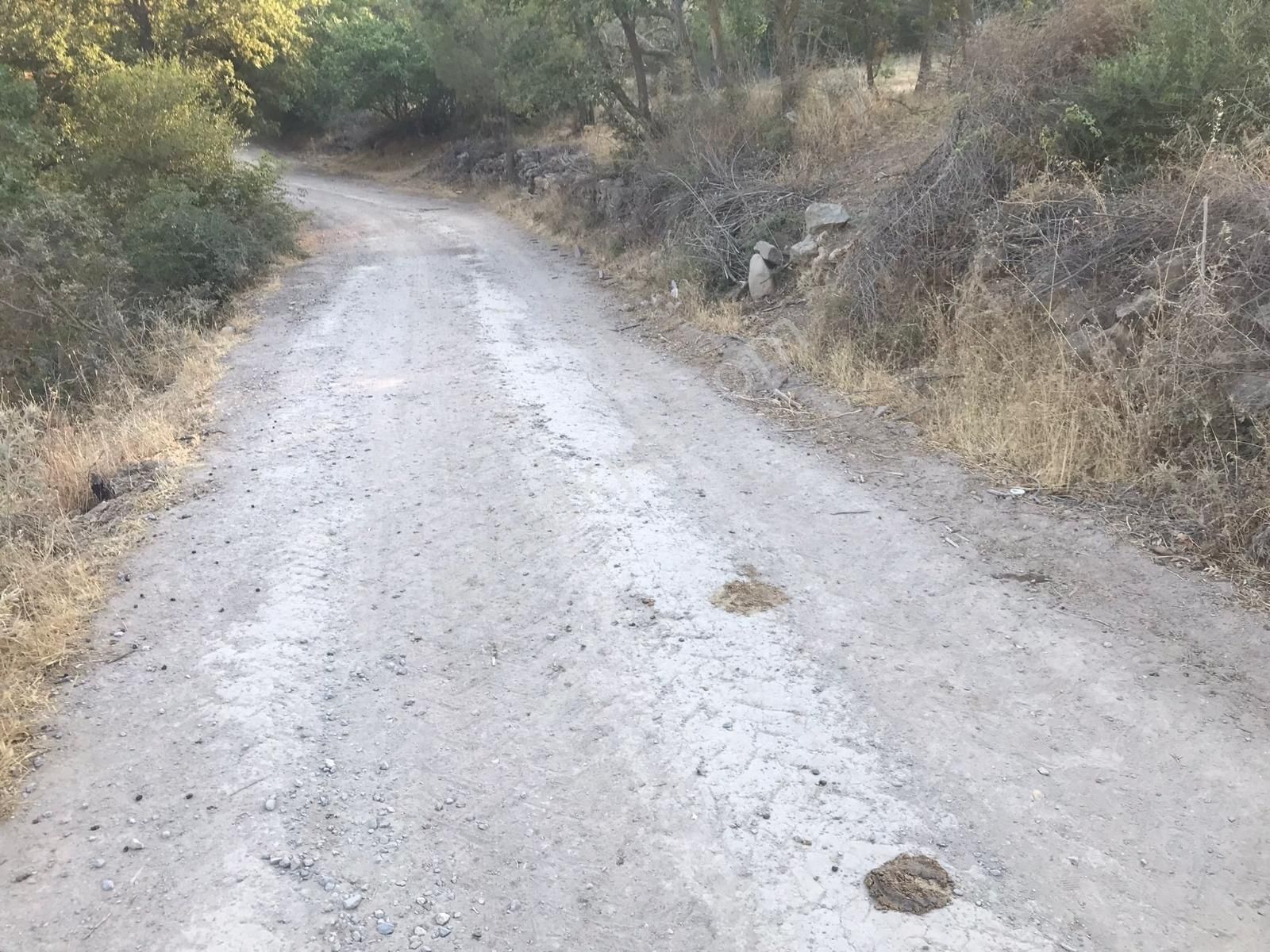 İzmir Bergama Kozluca 23 Adet Verimli Ağaçlı 483 M² Zeytinlik - Görsel 14