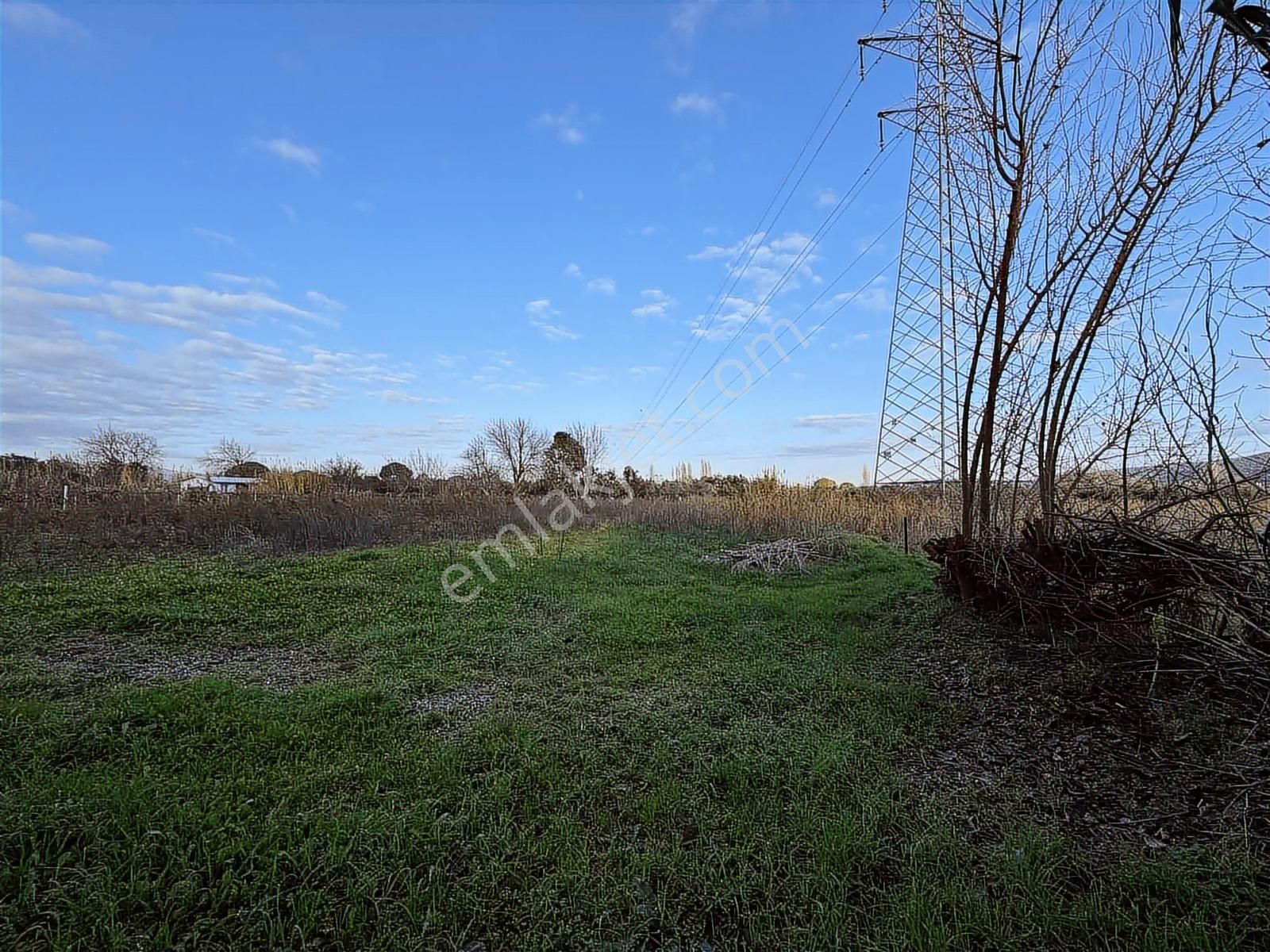 Bergama Bağlar Mevki Elektrik, Su Ve Yapı Bulunan 4.560 M² Bağ - Görsel 13