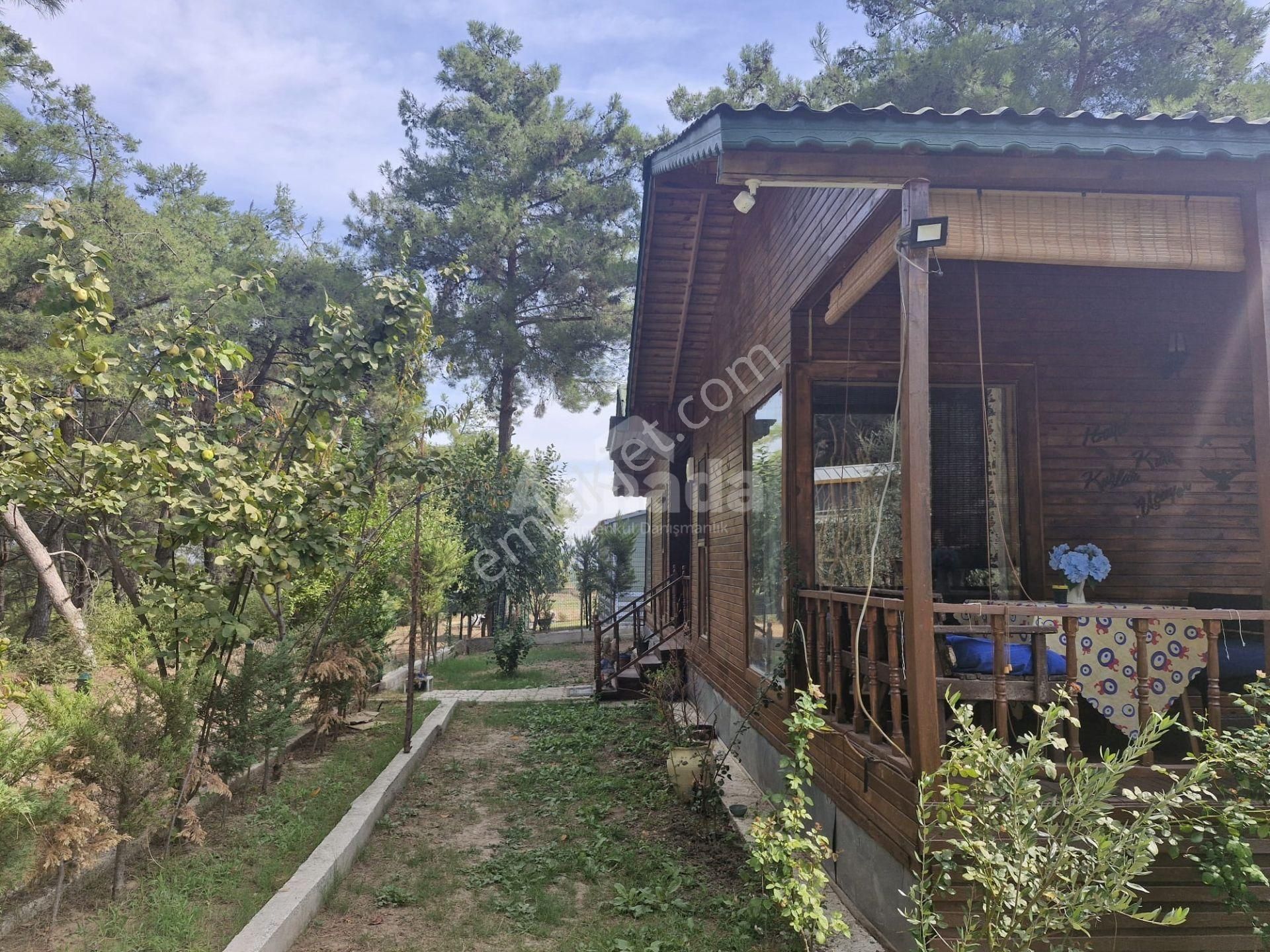 İzmir Mendereste Doğa İçinde, Geniş Bahçeli 3+1 Ahşap Ev - Görsel 25