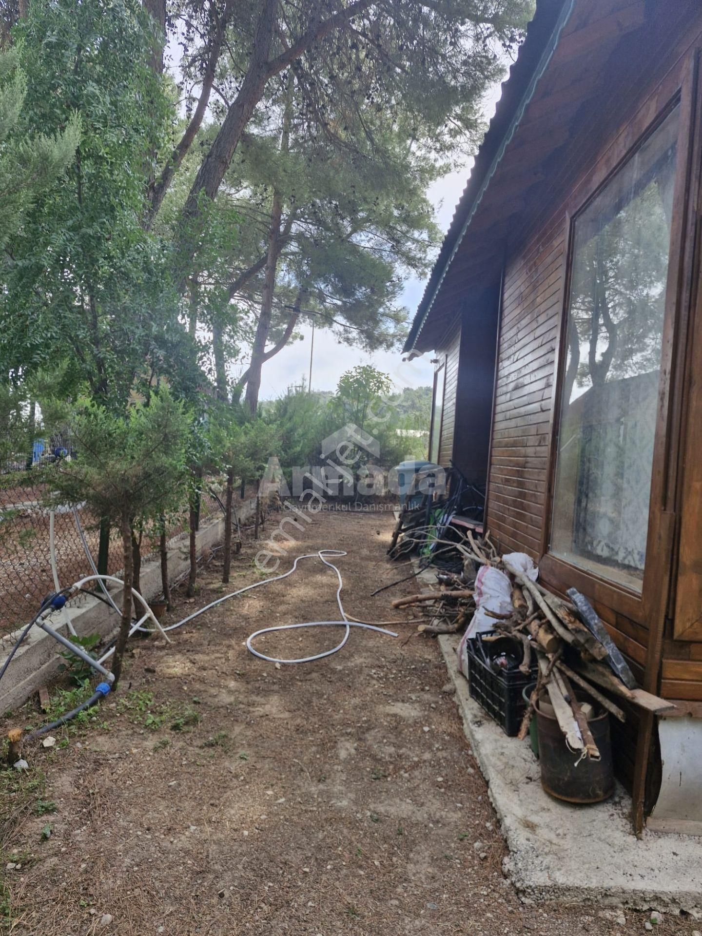 İzmir Mendereste Doğa İçinde, Geniş Bahçeli 3+1 Ahşap Ev - Görsel 30