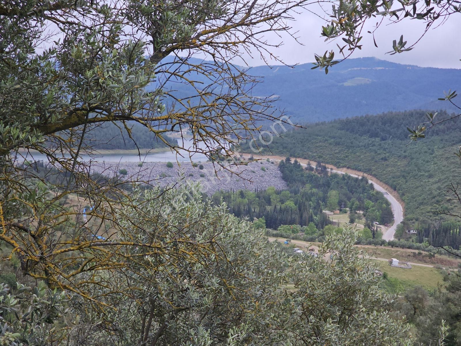 Kayalardan İmar 500mt Demirtaşta Tektapu Yatırımlık Fırsat Arazi