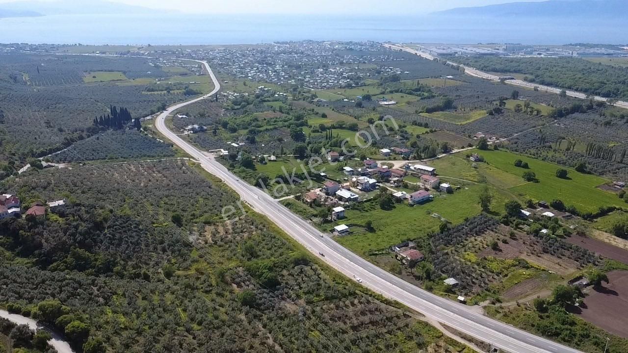Dialog Leo’dan Satılık Togg’a Ve Denize Yakın Fırsat Arazi - Görsel 7