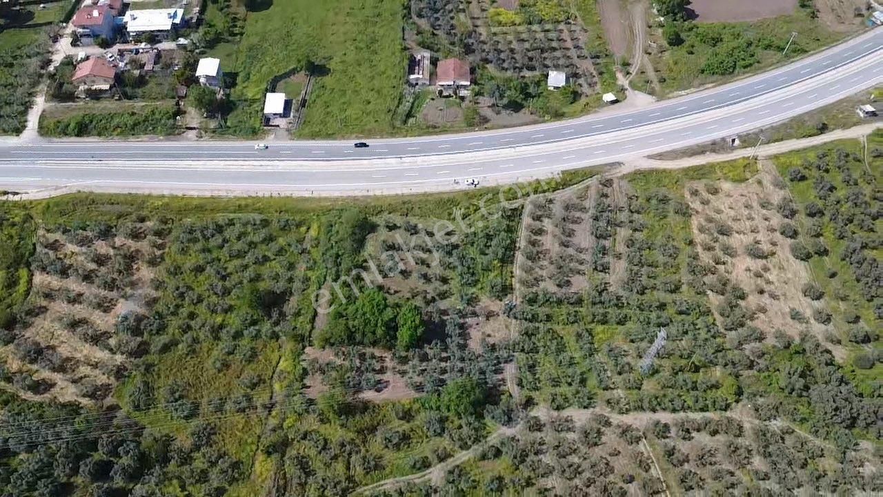 Dialog Leo’dan Satılık Togg’a Ve Denize Yakın Fırsat Arazi - Görsel 5