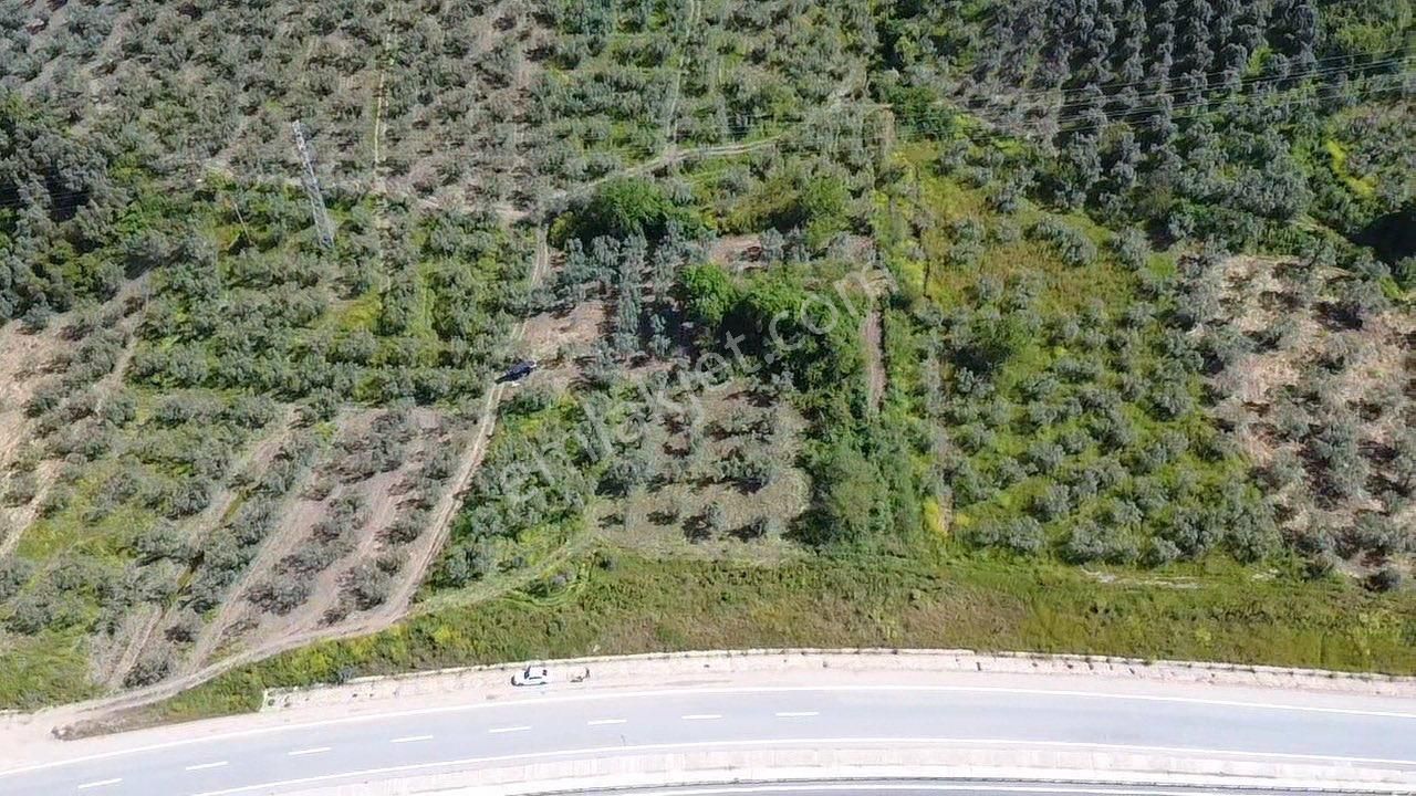 Dialog Leo’dan Satılık Togg’a Ve Denize Yakın Fırsat Arazi - Görsel 3