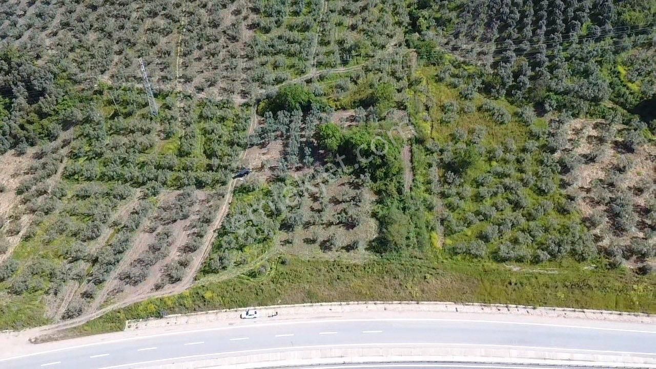 Dialog Leo’dan Satılık Togg’a Ve Denize Yakın Fırsat Arazi - Görsel 2