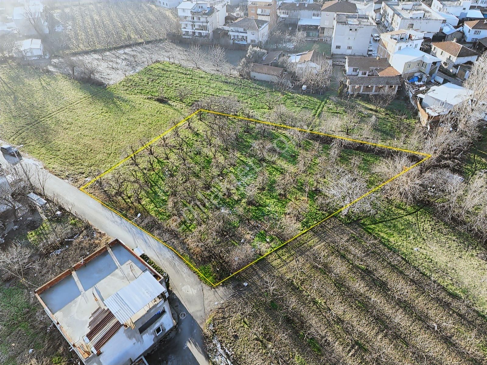 Lookhause Bursa Yıldırım Samanlı Satılık Köy İçi Arazi - Görsel 6