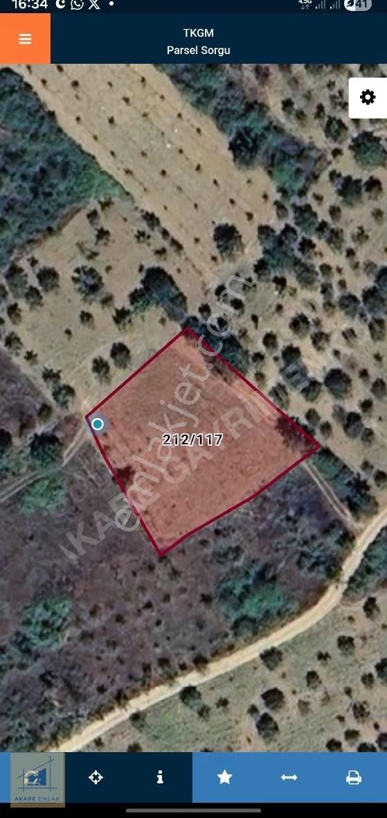 Asfalta Yakın Bağ - Görsel 5