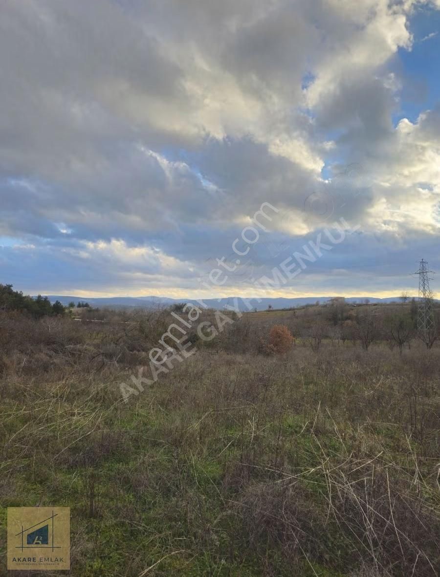 Asfalta Yakın Bağ - Görsel 9