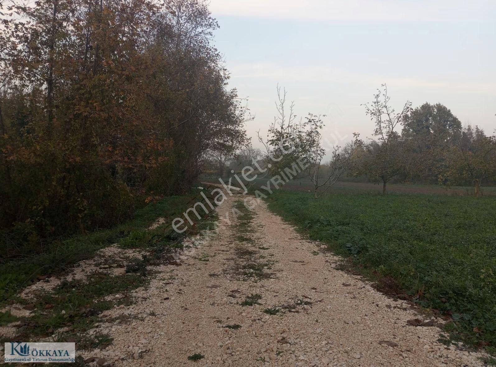 Hasanağa Da 265 M² Villa İmarlı Müstakil Parsel Satılık Arsa - Görsel 14