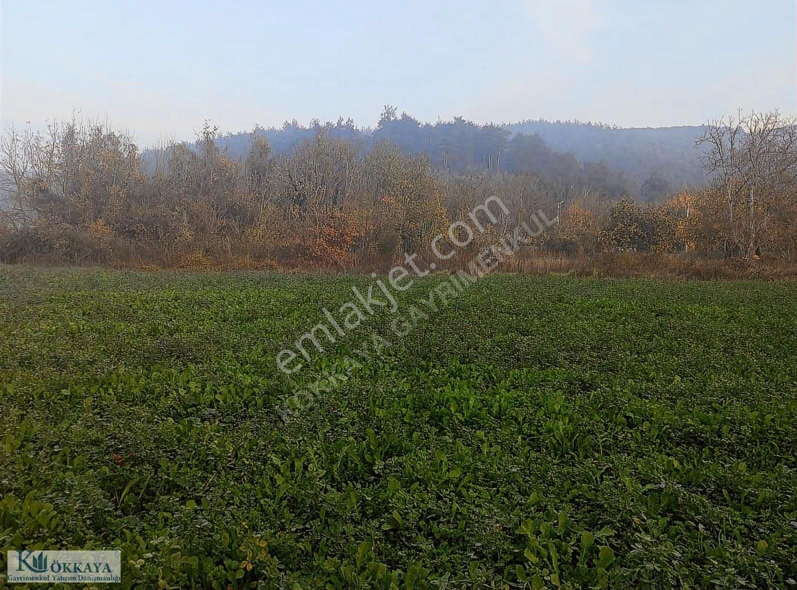 Hasanağa Da 265 M² Villa İmarlı Müstakil Parsel Satılık Arsa - Görsel 12