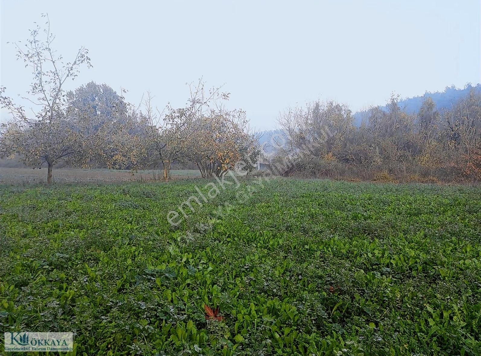 Hasanağa Da 265 M² Villa İmarlı Müstakil Parsel Satılık Arsa - Görsel 16