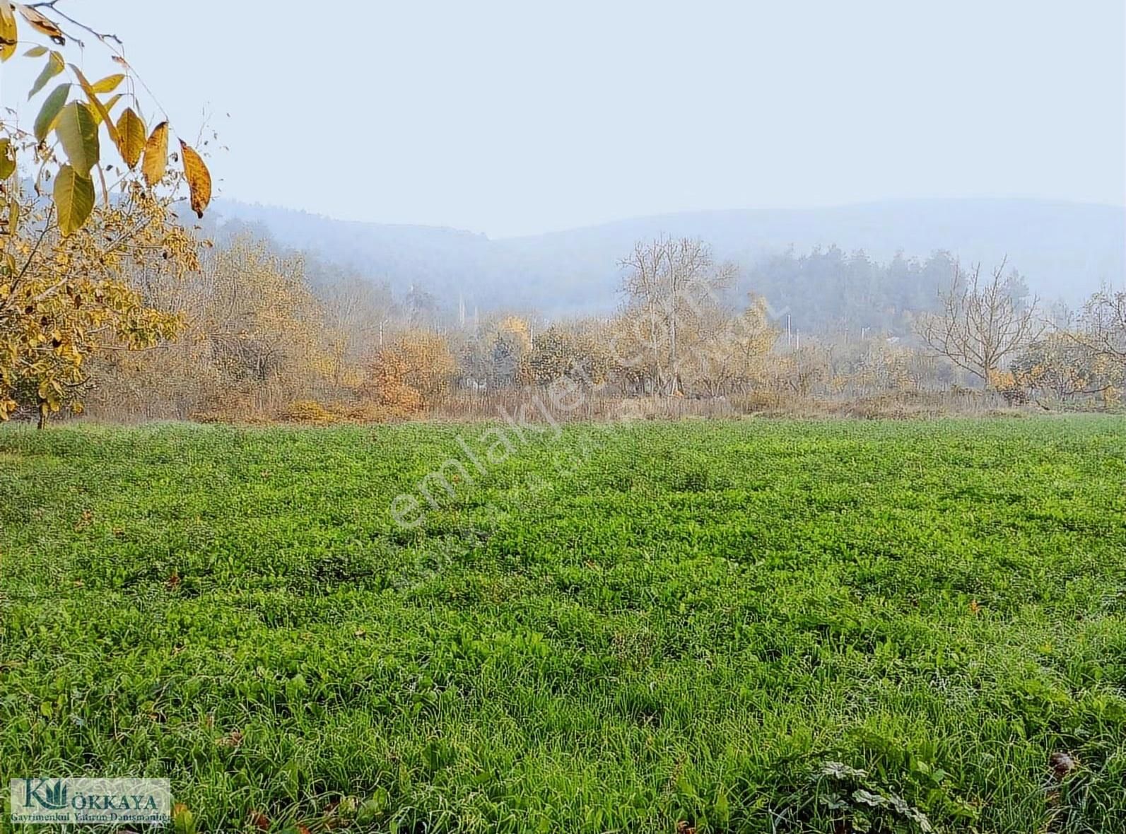Hasanağa Da 265 M² Villa İmarlı Müstakil Parsel Satılık Arsa - Görsel 15