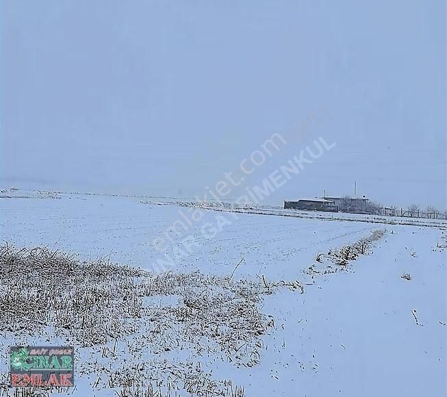 Çınar'dan Kaçırılmayacak İmara Yakın Yatırım Fırsatı - Görsel 5