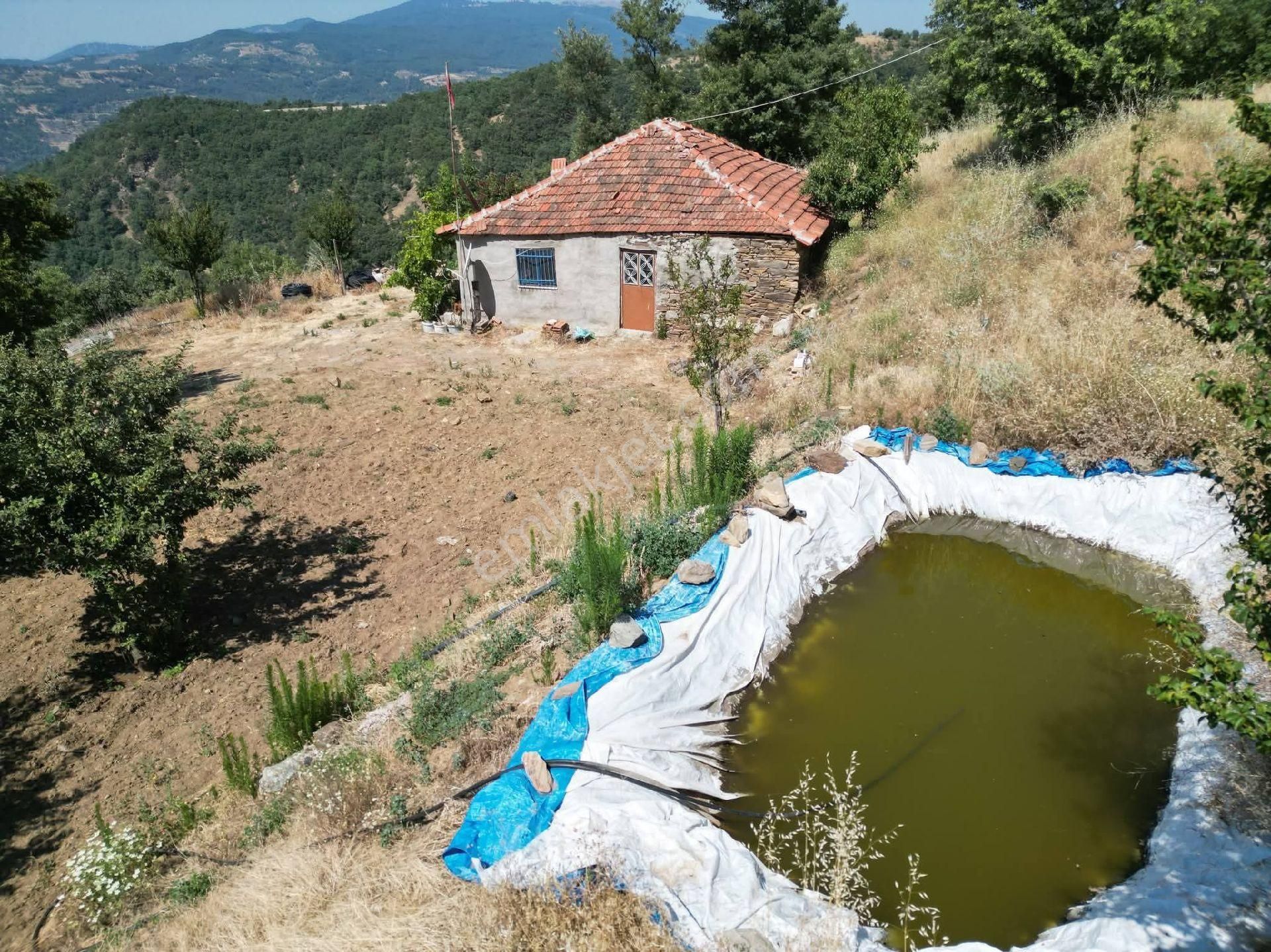 Buharkent/aydın Evli Meyve Bahçesi