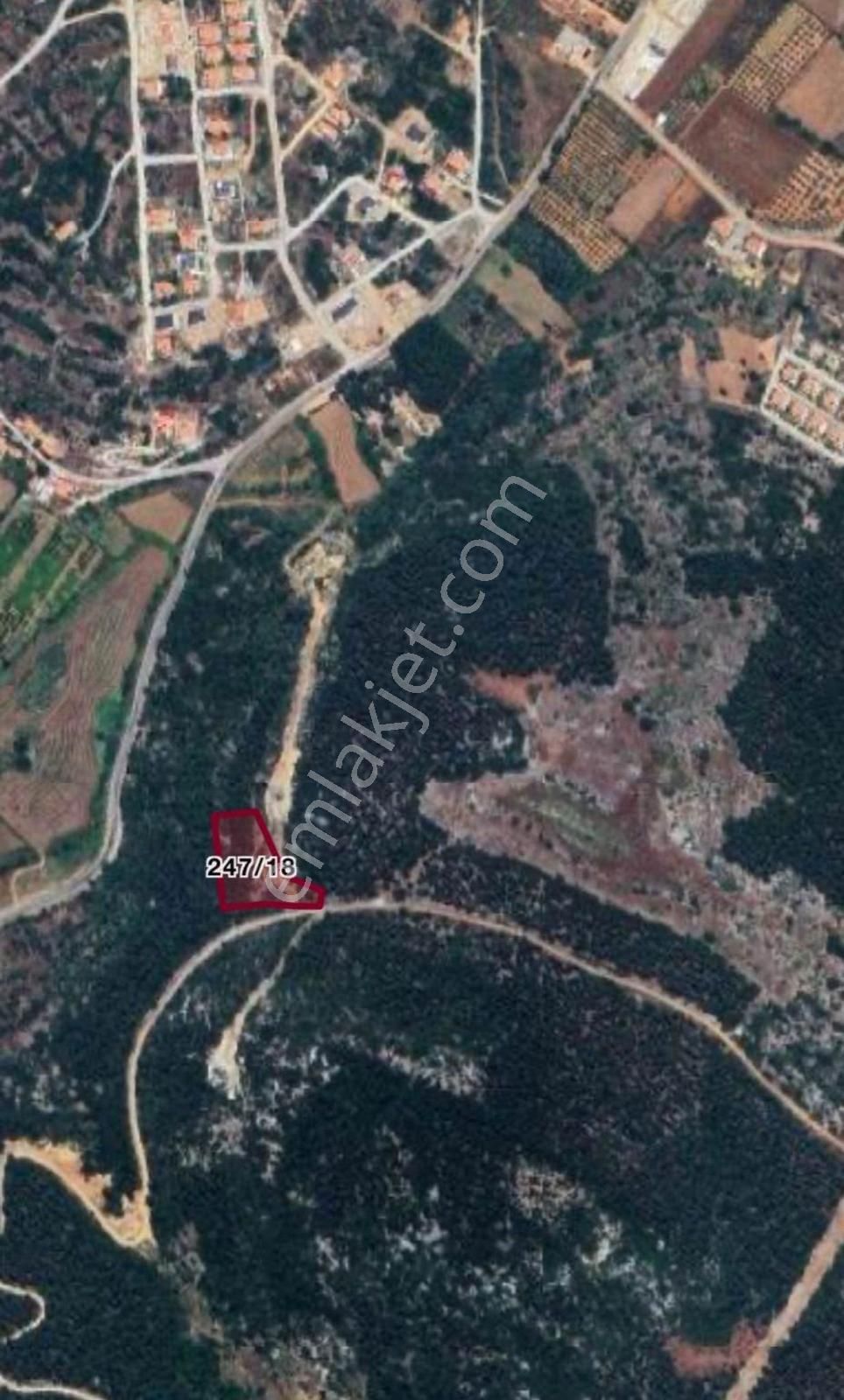Muğla Menteşe Gülağzı Mah. 4.613 M2 Tarla - Görsel 4