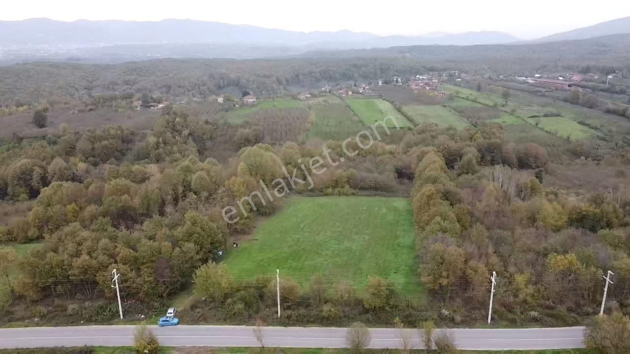 17-1 Şeker Emlak Süleymaniye 24.352.00m2 Satılık Çiftlik Arazisi - Görsel 11