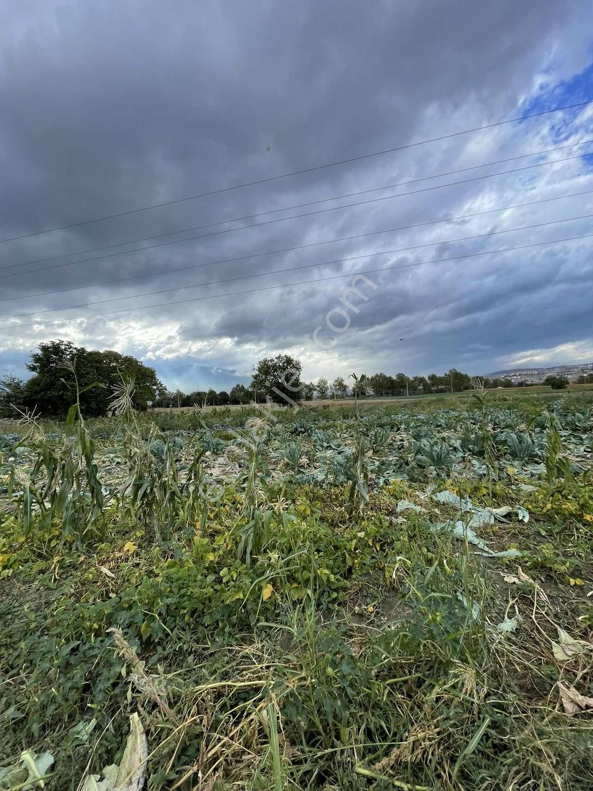 Anka Gayrimenkulden Ticari İmar Dibi Satılık Tarla - Görsel 6