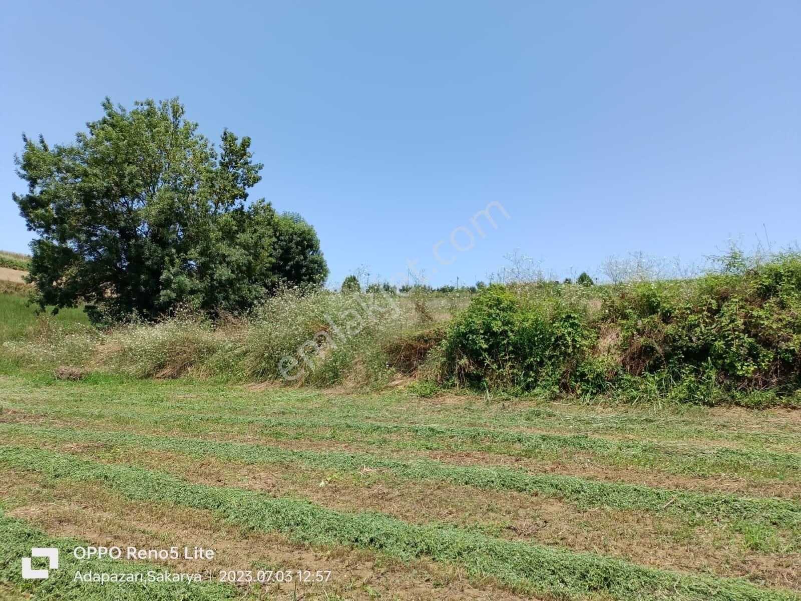 Adapazarı Büyükhataplı Köyün'de 1476 M2 Satılık Arsa