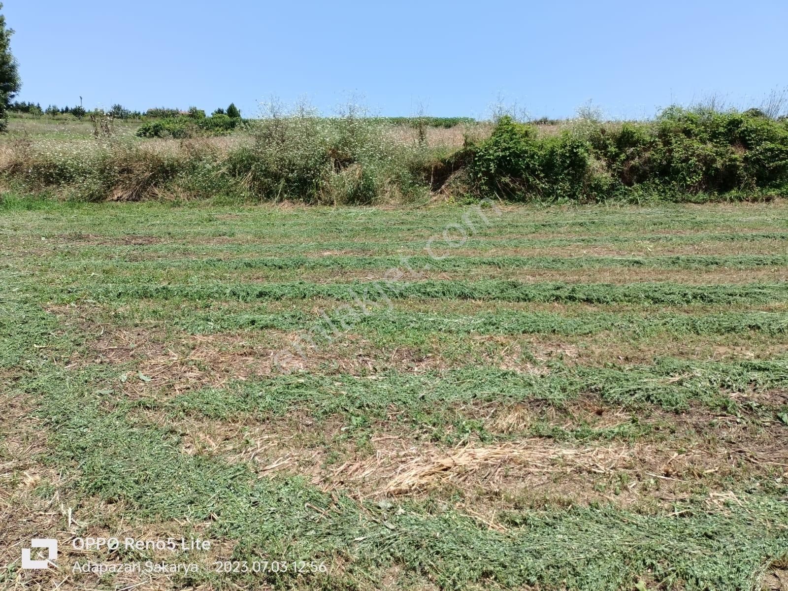 Adapazarı Büyükhataplı Köyün'de 1476 M2 Satılık Arsa - Görsel 8