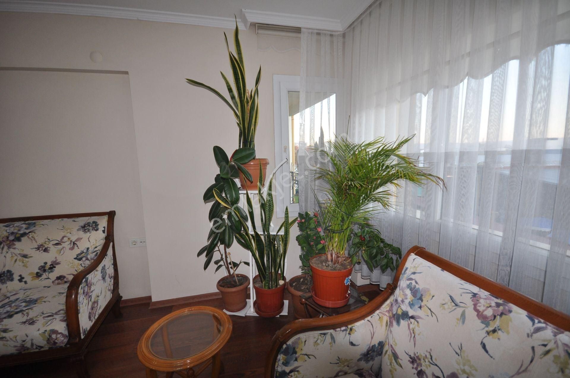 Söke Çarşamba Pazarı Karşısı Satılık 3+1 Daire - Görsel 11