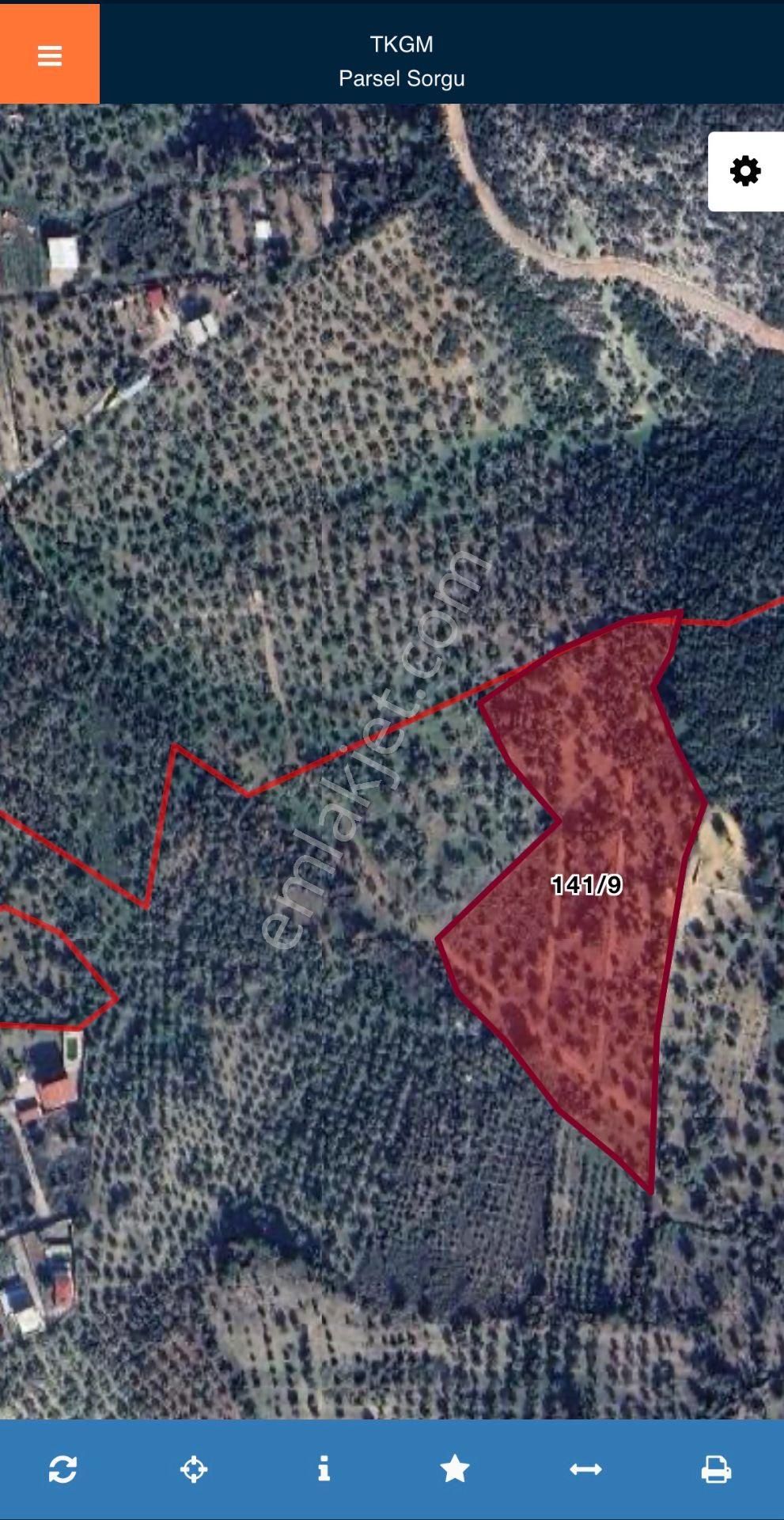 Torbalı Demırcı Mahallesı Sıcakboğaz Mevkıı’nde Satılık Zeytınlık Tarla - Görsel 2