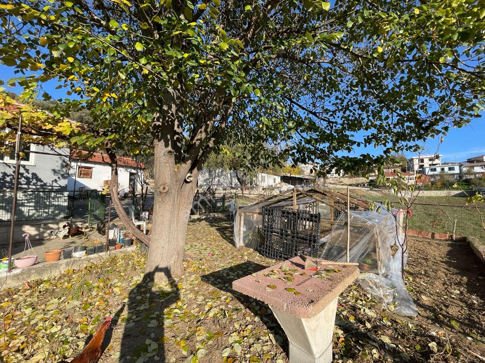 Elfi'den Marmaracık'ta Yola Cephe Satılık Sanayi Elektrikli Arsa - Görsel 4