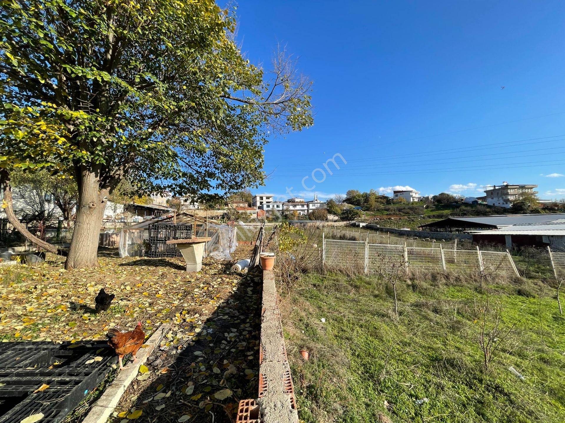 Elfi'den Marmaracık'ta Yola Cephe Satılık Sanayi Elektrikli Arsa - Görsel 2