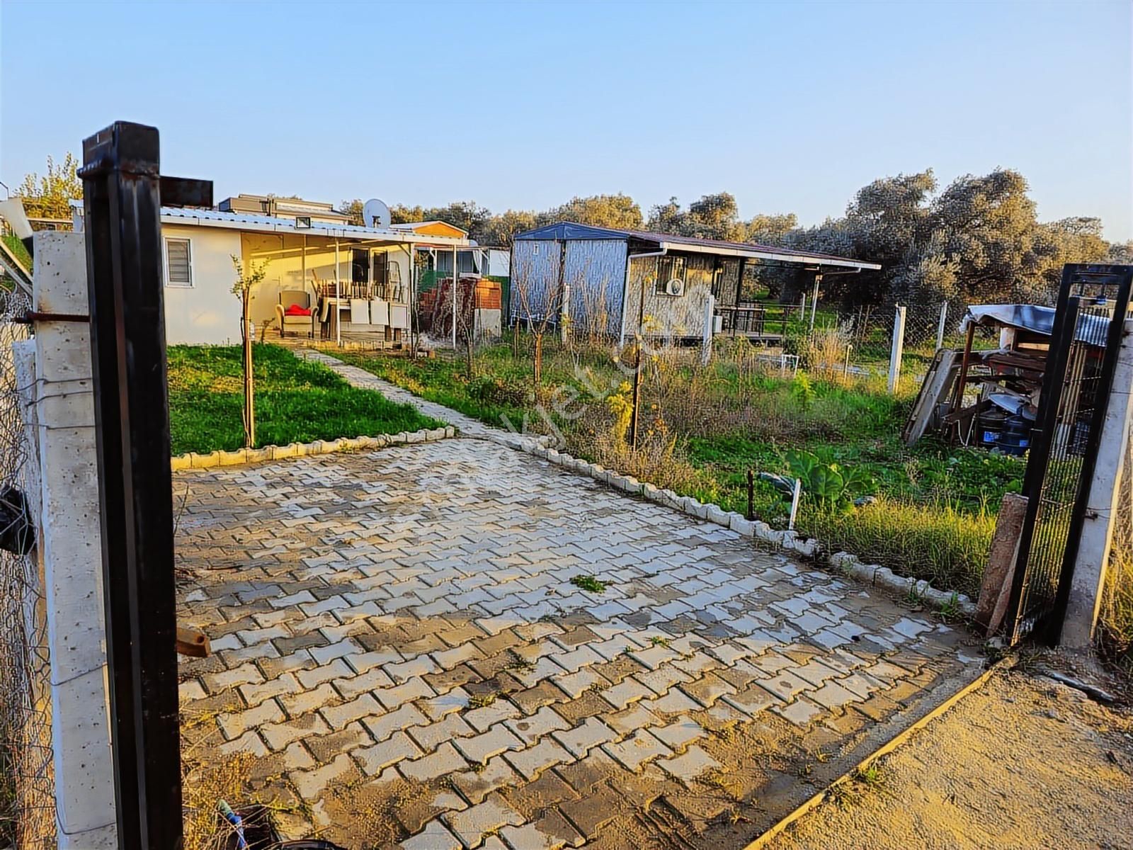 Turyaptan Karakuyuda Eleltrik&su, Meyve Ağaçlı Olan Firsat Arsa - Görsel 3