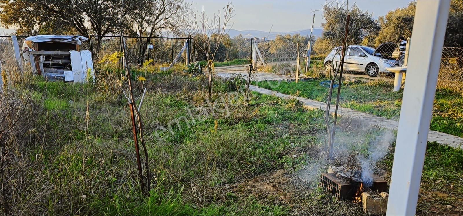 Turyaptan Karakuyuda Eleltrik&su, Meyve Ağaçlı Olan Firsat Arsa - Görsel 25