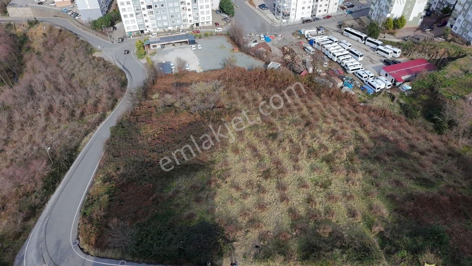 Pelitli Yeşilköy'de Havalimanıns 500m Ticari,konut İmarlı Arsa - Görsel 6