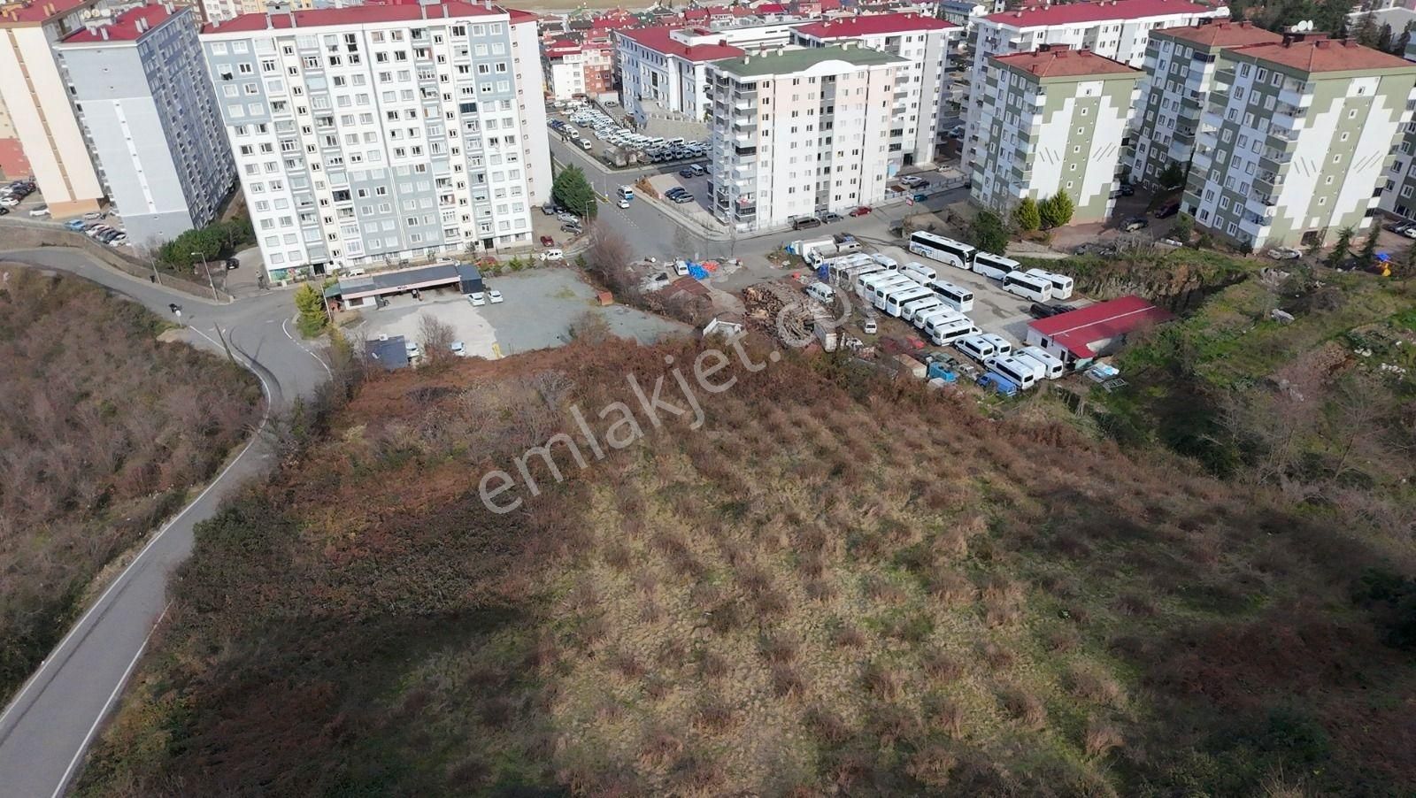 Pelitli Yeşilköy'de Havalimanıns 500m Ticari,konut İmarlı Arsa - Görsel 13