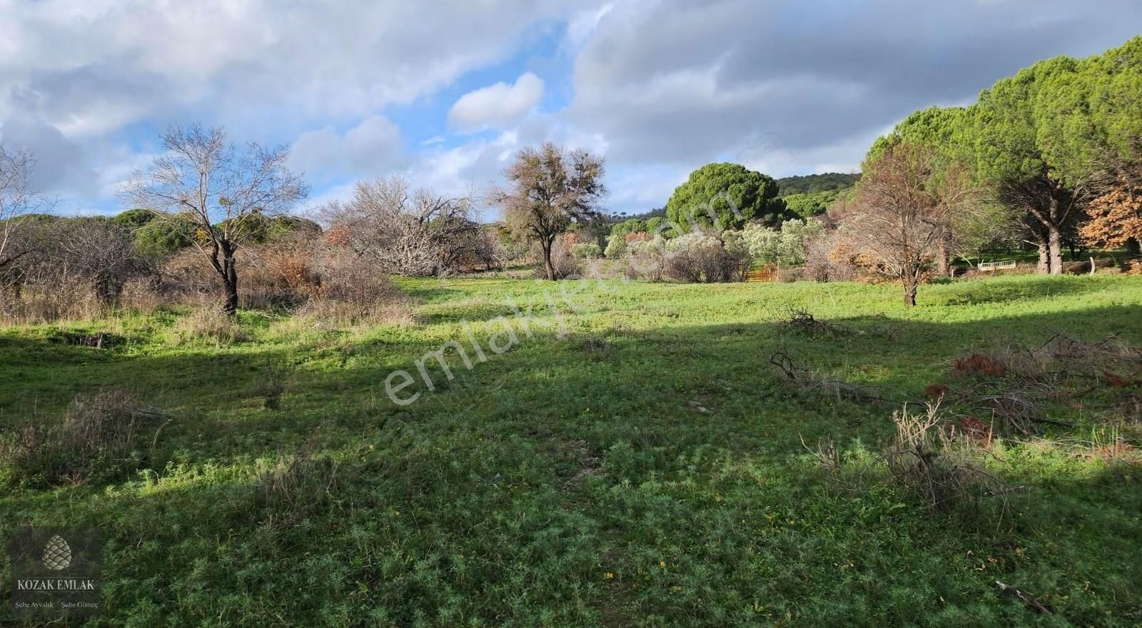 Balıkesir Ayvalık Bağyüzü Köyü Satılık Bağ - Görsel 25