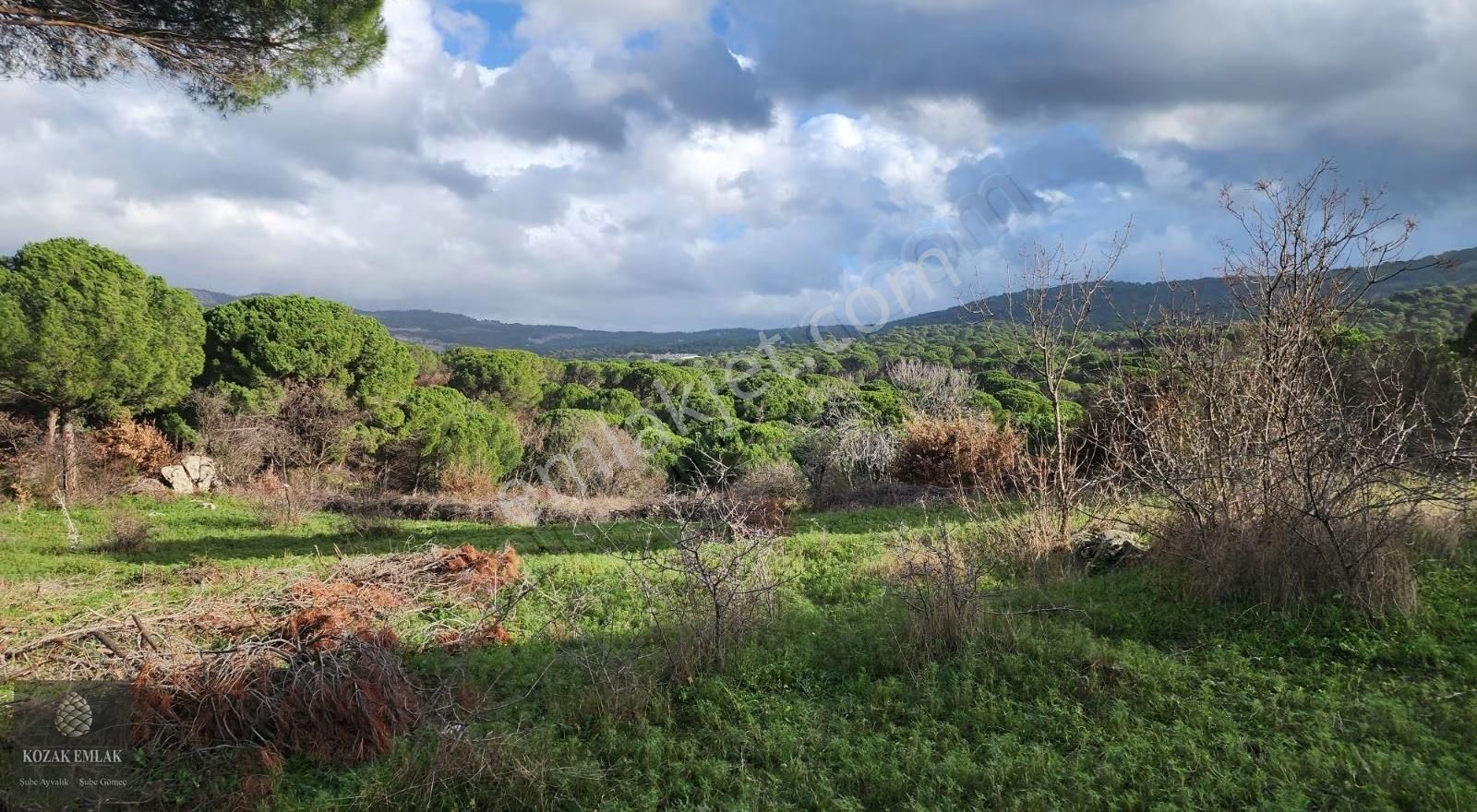 Balıkesir Ayvalık Bağyüzü Köyü Satılık Bağ - Görsel 9