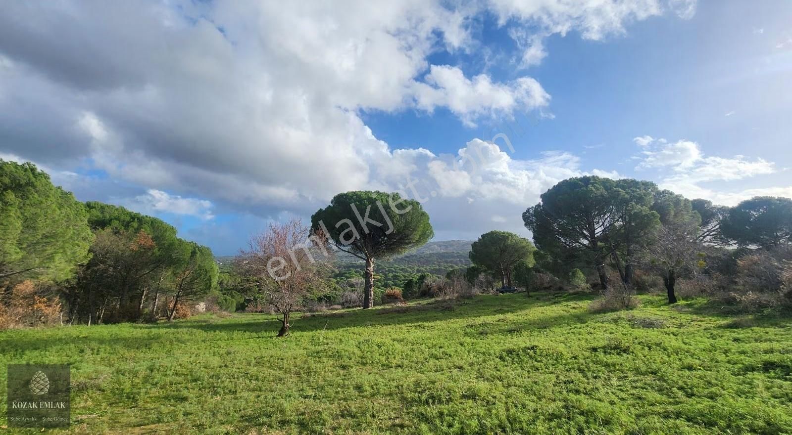 Balıkesir Ayvalık Bağyüzü Köyü Satılık Bağ - Görsel 14
