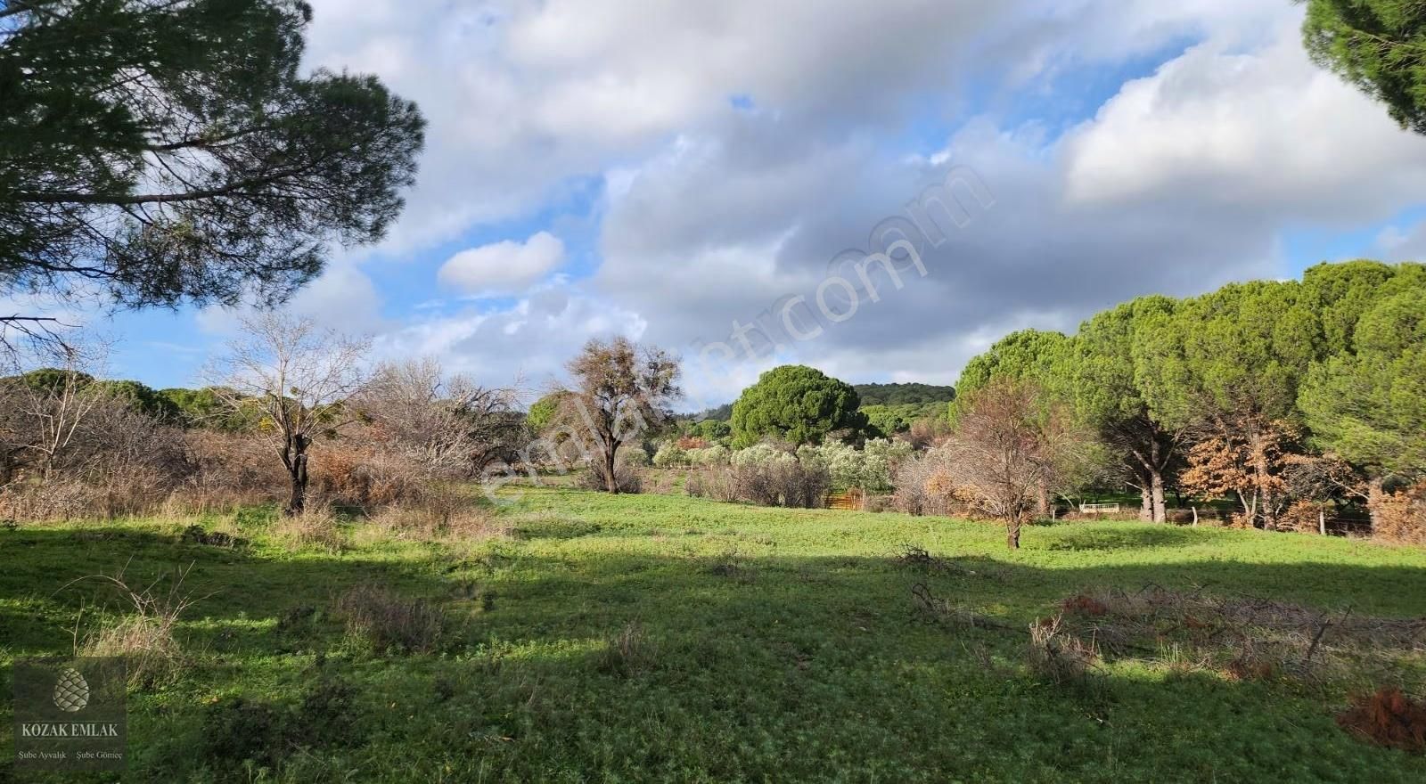 Balıkesir Ayvalık Bağyüzü Köyü Satılık Bağ - Görsel 4