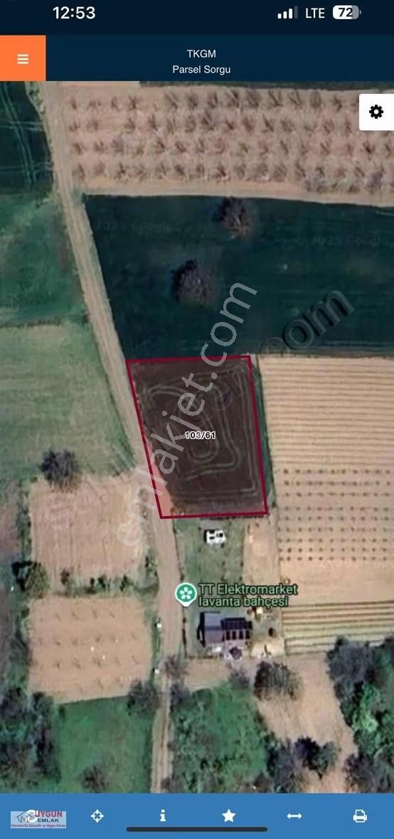 Akçapınar Mahallesinde Satılık Yola Cephe Tarla