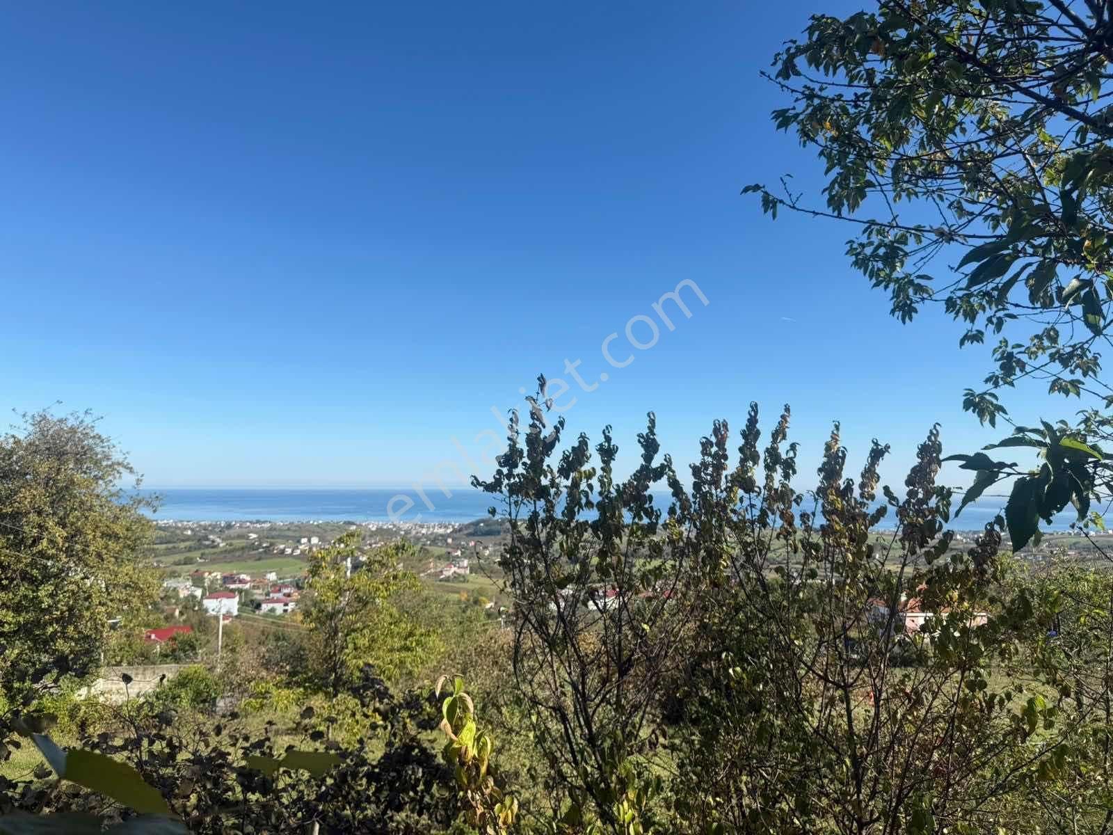 Taflan Deniz Manzaralı Bahçeli 2+1 Kiralık Müstakil Ev - Görsel 6