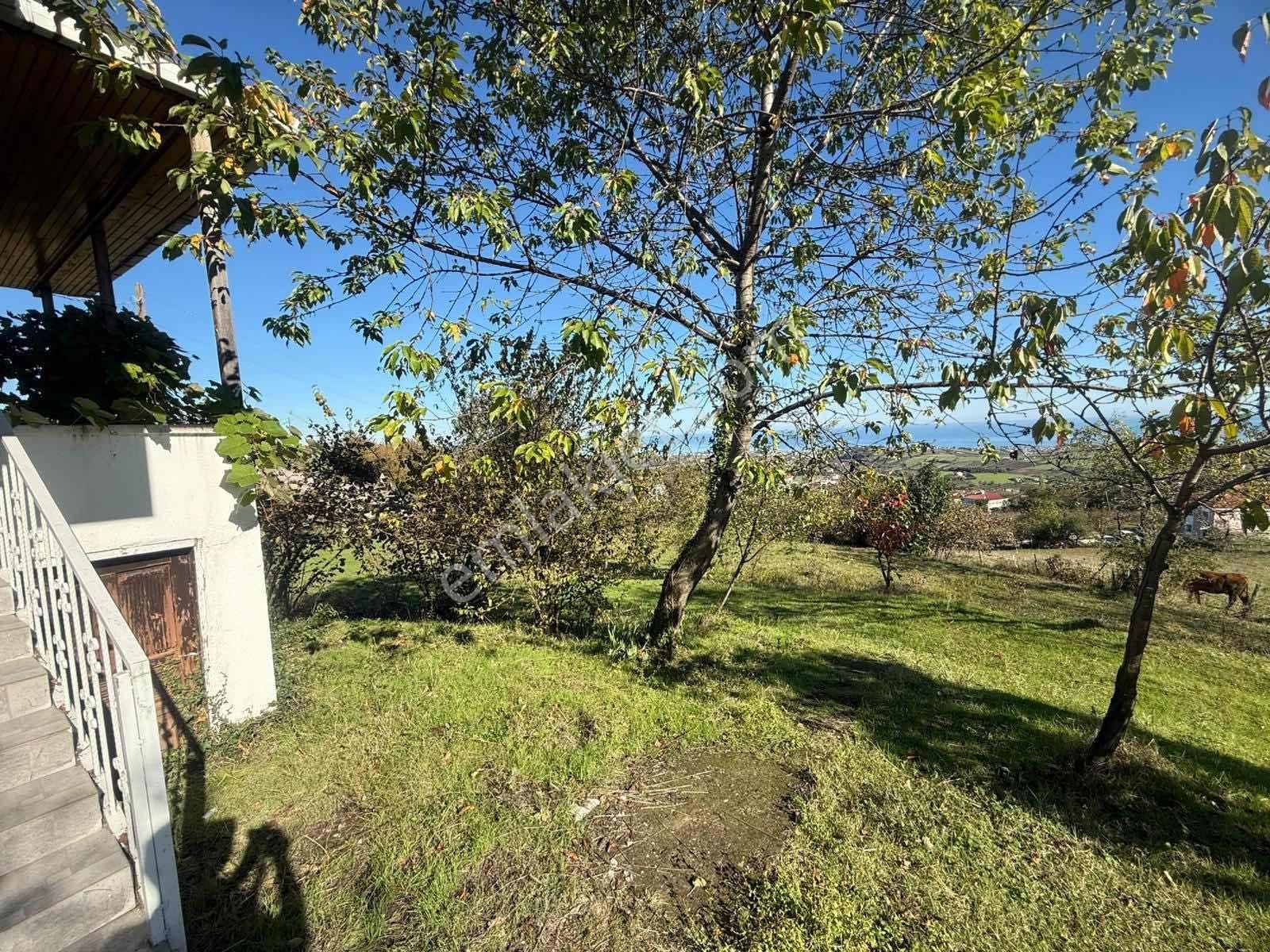 Taflan Deniz Manzaralı Bahçeli 2+1 Kiralık Müstakil Ev - Görsel 2