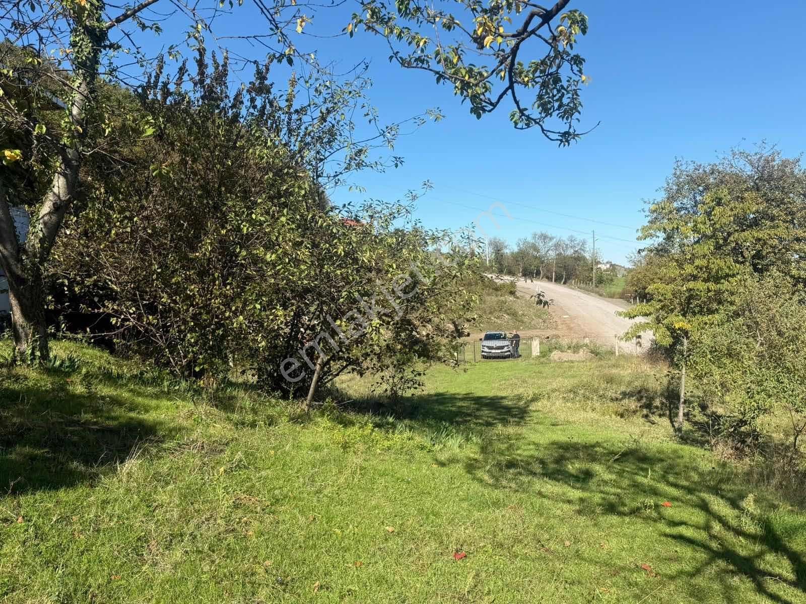 Taflan Deniz Manzaralı Bahçeli 2+1 Kiralık Müstakil Ev - Görsel 8