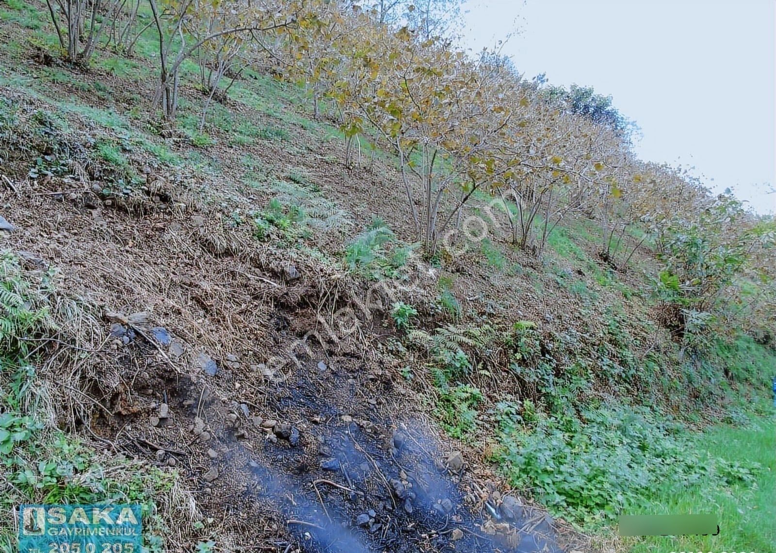 Saka Gayrimenkul'den Akçaabat Mersinde Satılık Arsalar - Görsel 20