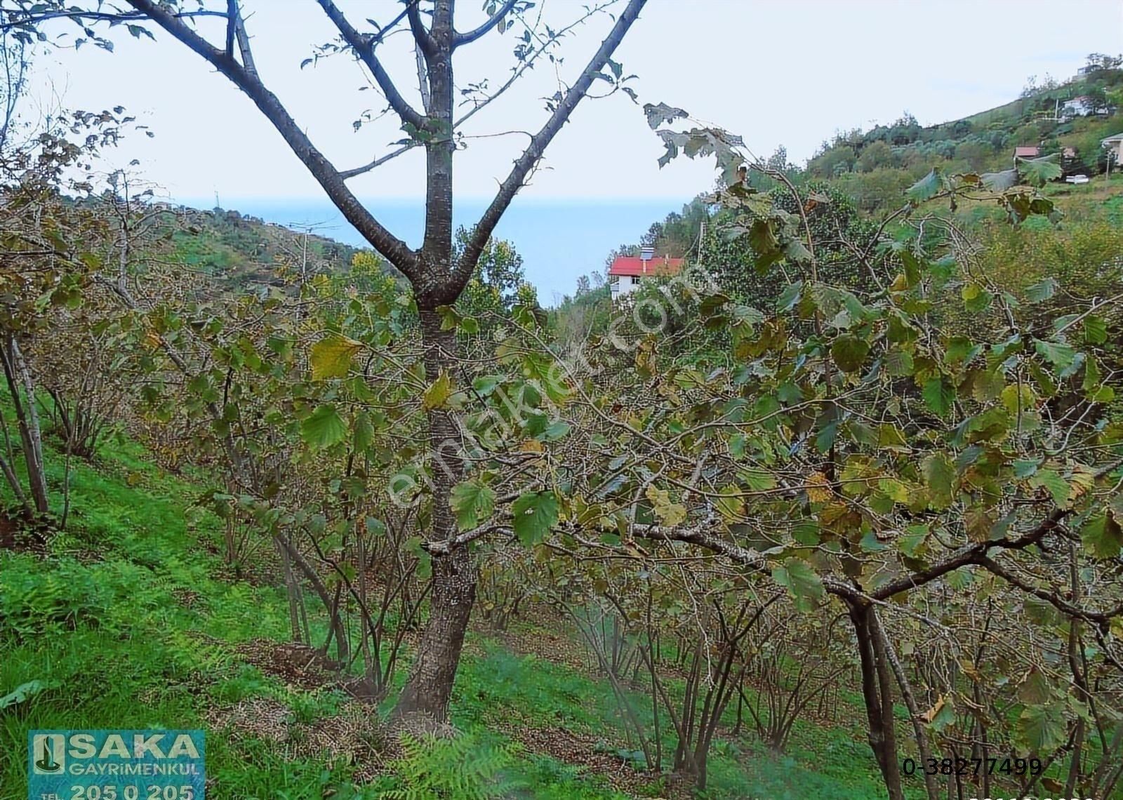 Saka Gayrimenkul'den Akçaabat Mersinde Satılık Arsalar - Görsel 15