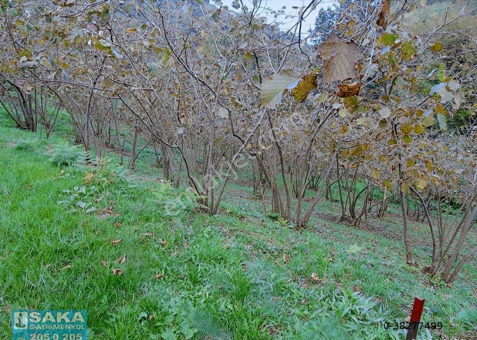 Saka Gayrimenkul'den Akçaabat Mersinde Satılık Arsalar - Görsel 21