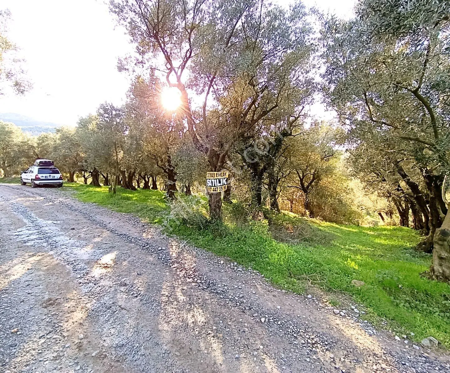 Müşküle Köy Dibi Yolu Açık Yola Cepheli 340m² Hobi Bahçesi