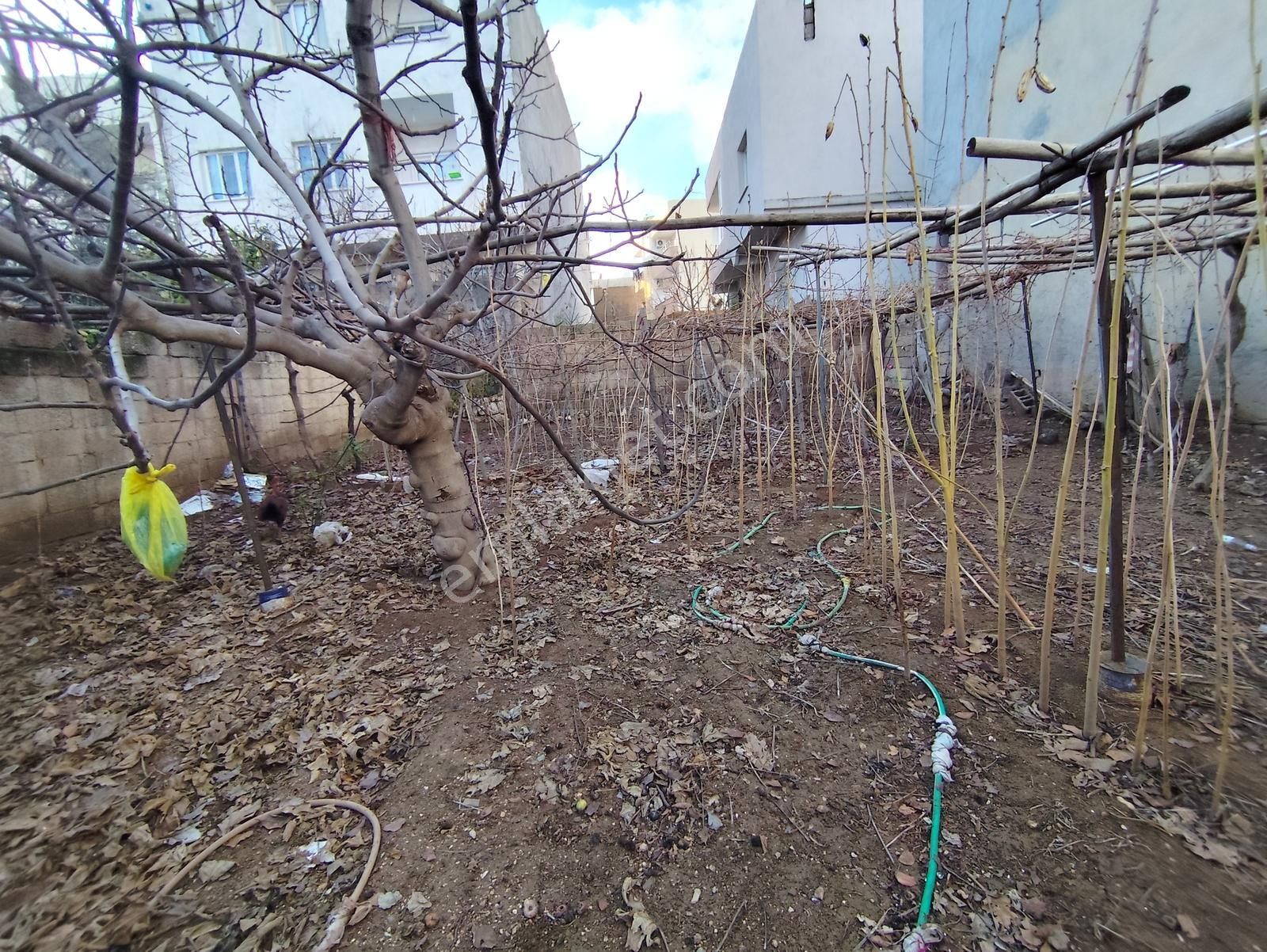 Acar Emlaktan Acil Satılık Barış Mahallesi 300 M2 Müstakil Ev - Görsel 11