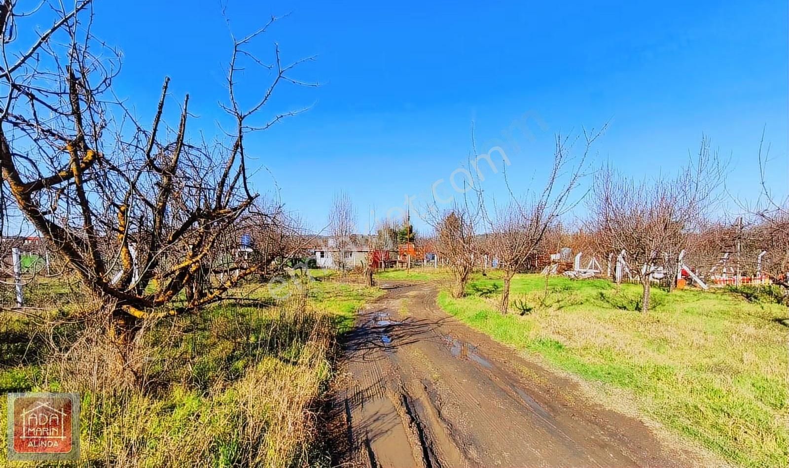 Fırsat Fiyata Kiraz Bahçesi Satılık