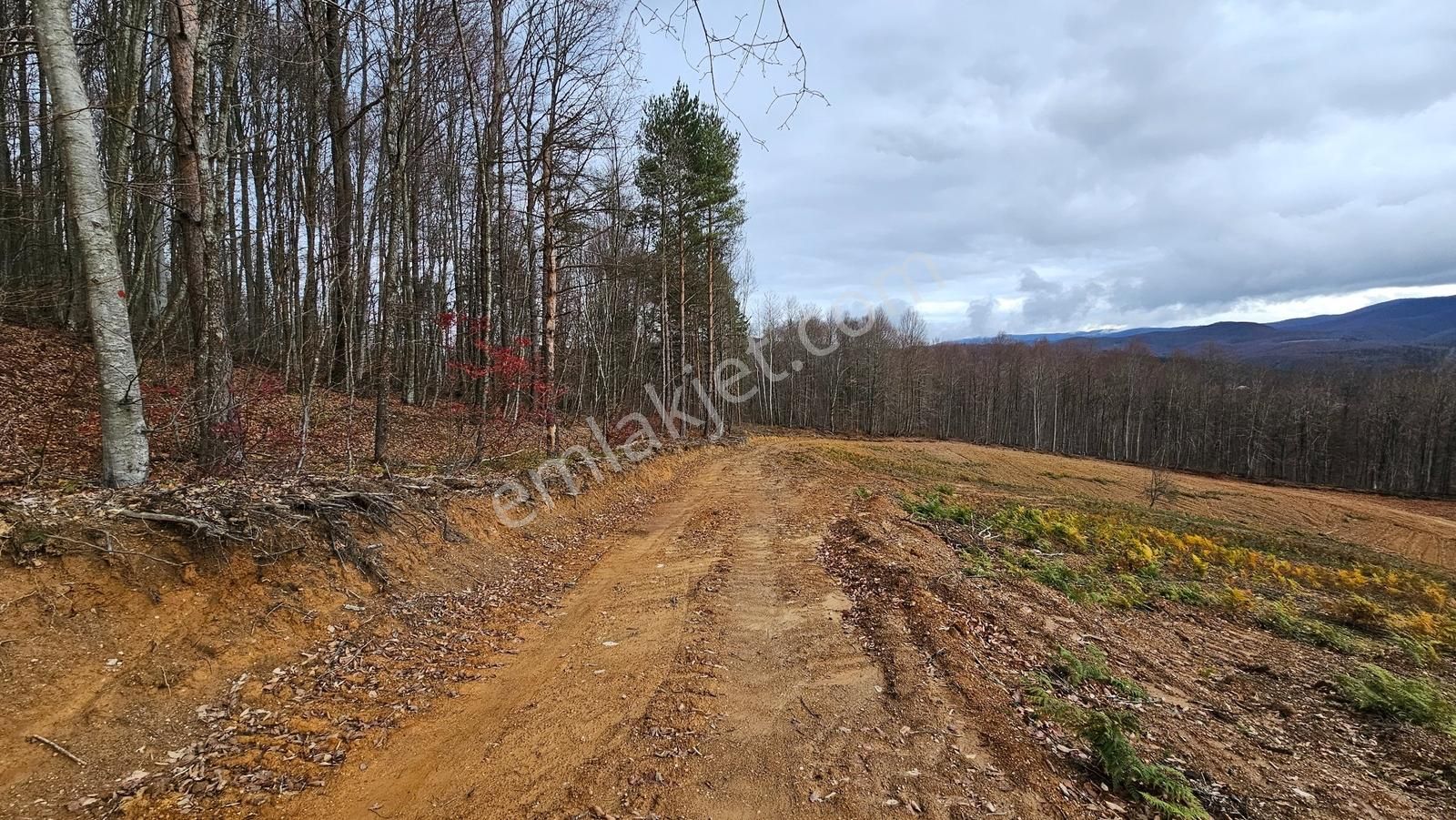 İznik Kutluca'da / 906 M² Villalık Arsa /doğa Manzaralı - Görsel 7