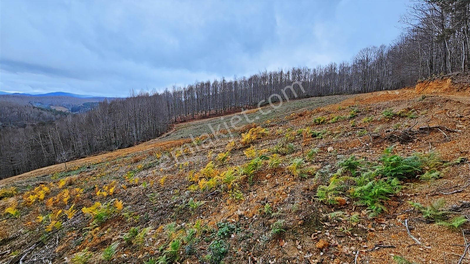 İznik Kutluca'da / 906 M² Villalık Arsa /doğa Manzaralı - Görsel 26