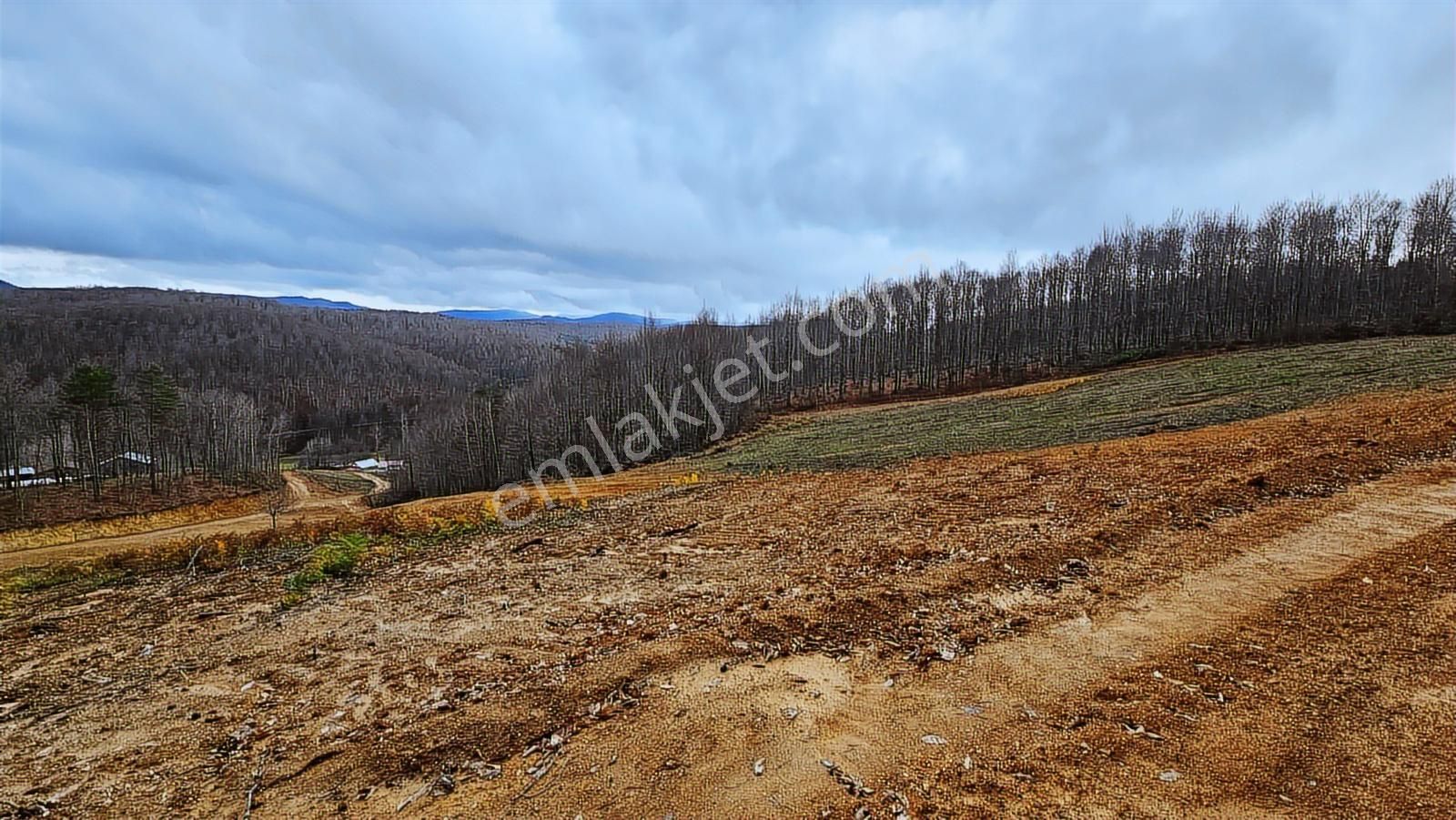 İznik Kutluca'da / 906 M² Villalık Arsa /doğa Manzaralı - Görsel 17