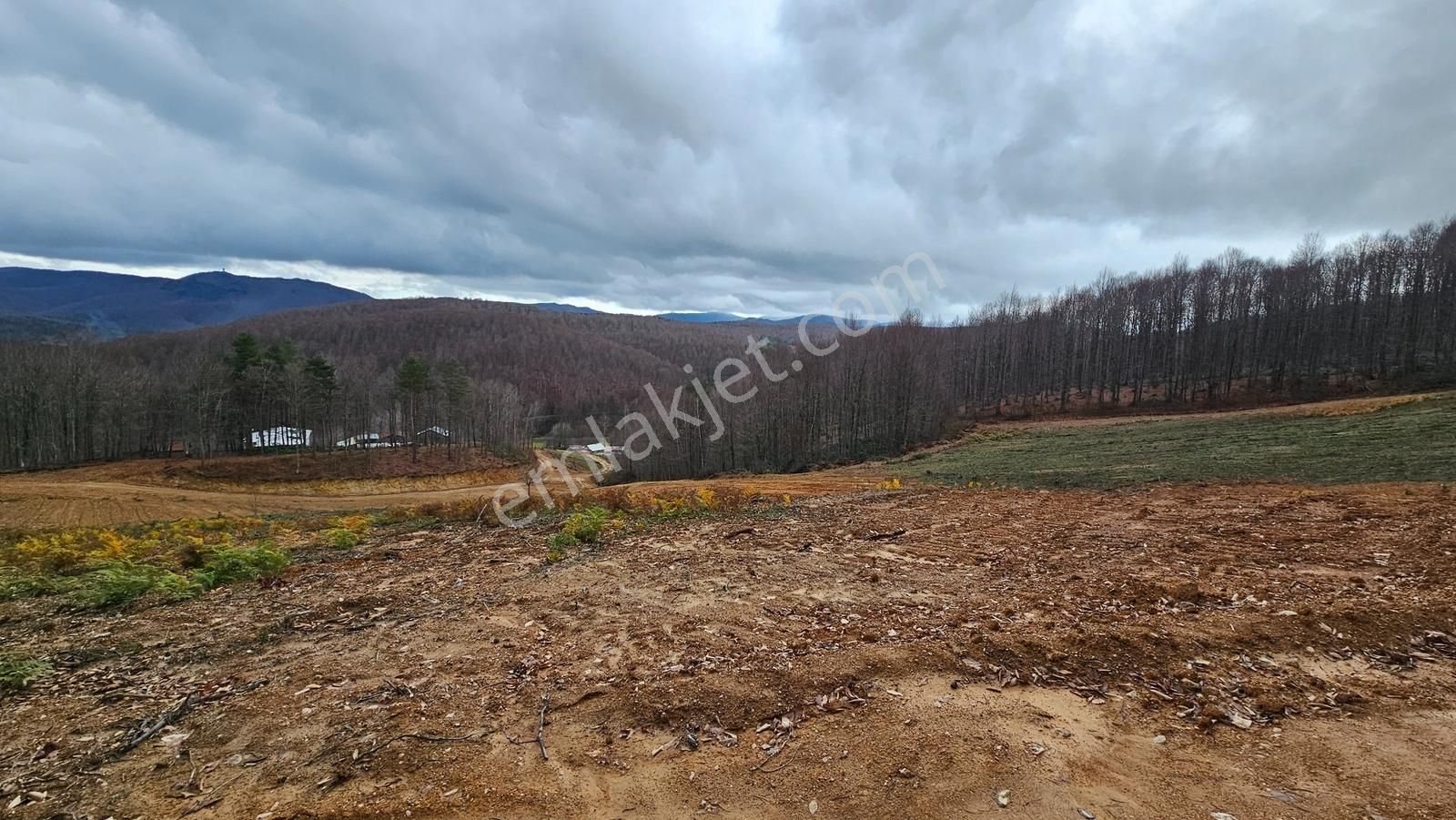 İznik Kutluca'da / 906 M² Villalık Arsa /doğa Manzaralı - Görsel 15